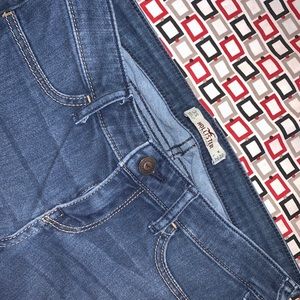 Hollister Denim